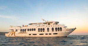 first class galapagos cruises - majestic