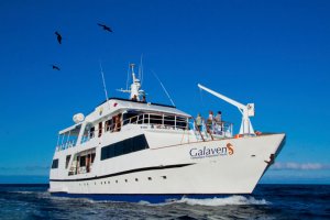 first class galapagos cruises - galaven
