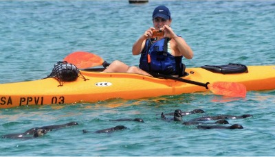 kayaking galapagos islands
