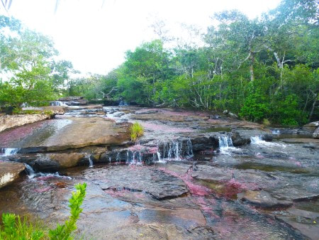 Amazon landscape in Guaviare