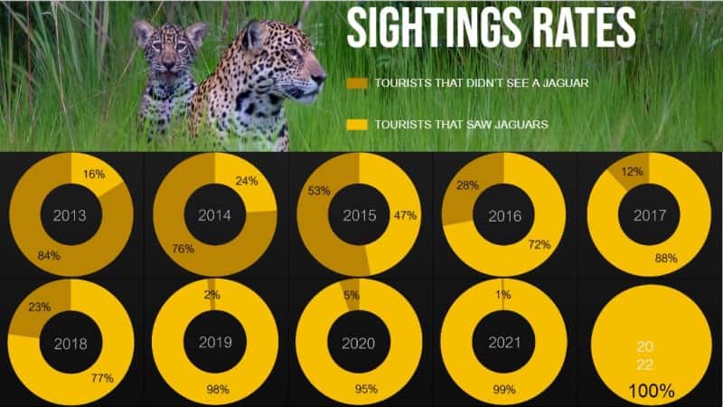 Jaguar Sightings at Caiman Lodge