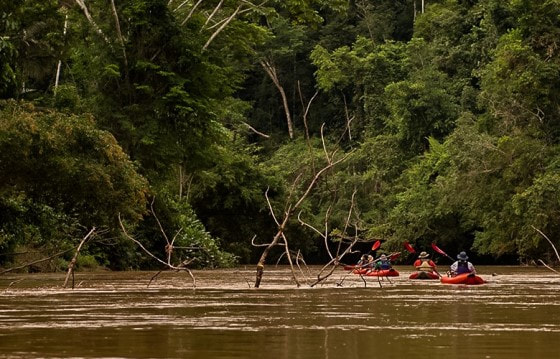 amazon kayaking in Ecuador