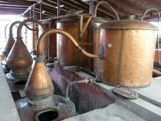 Pisco distillery