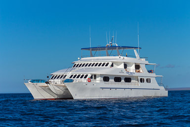 galapagos first class cruise - Tip top II