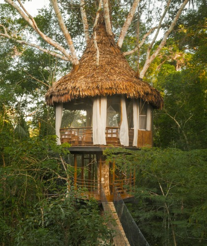 an amazon adventure - the Treehouse Lodge
